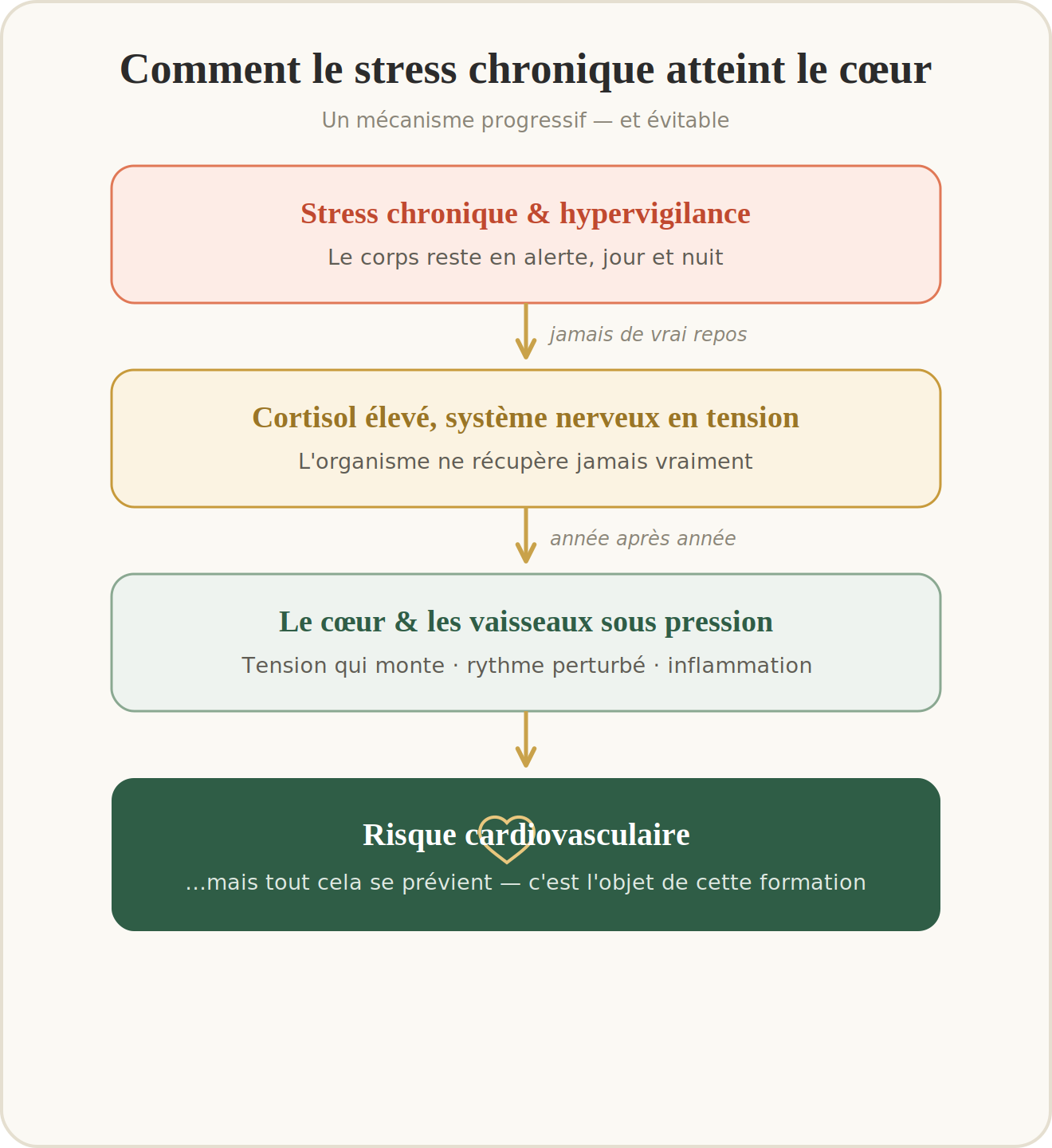 Schéma stress chronique et cœur